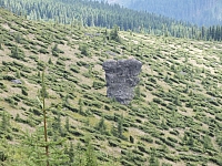 2012-08-09_12-35-32.jpg / 200x150