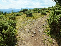 2012-08-09_12-45-44.jpg / 200x150