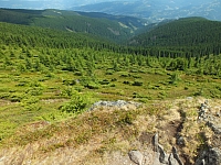 2012-08-09_13-20-24.jpg / 200x150