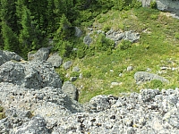 2012-08-09_13-47-38.jpg / 200x150