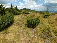 2012-08-09_13-58-46.jpg / 200x150