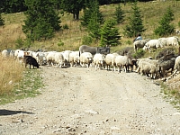 2012-08-09_14-40-02.jpg / 200x150