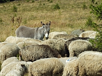 2012-08-09_14-40-26.jpg / 200x150