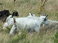 2012-08-09_14-44-06.jpg / 200x150