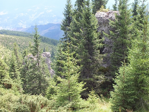 Munții Călimani
Rumänien 2012
&copy; by Thiel-IT (2012)