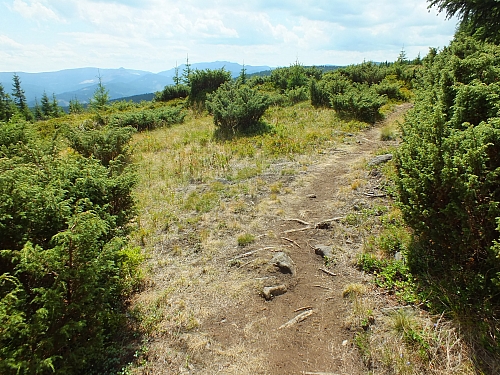 Munții Călimani
Rumänien 2012
&copy; by Thiel-IT (2012)