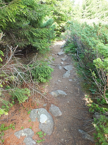 Munții Călimani
Rumänien 2012
&copy; by Thiel-IT (2012)