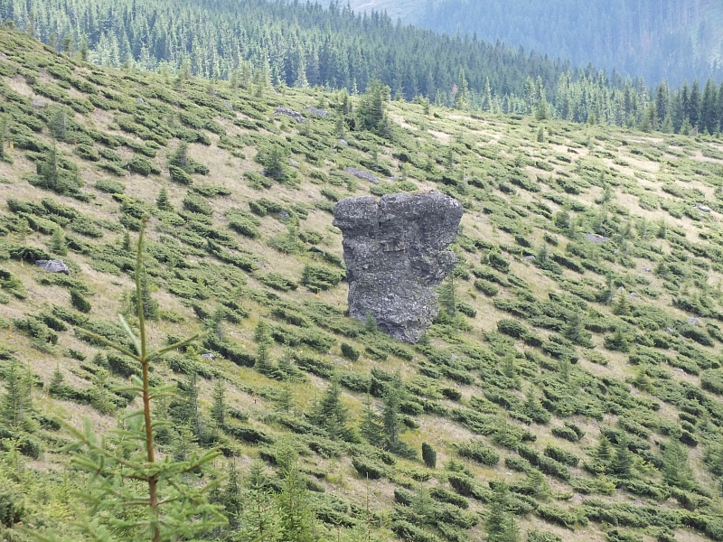 Munții Călimani
Rumänien 2012
&copy; by Thiel-IT (2012)