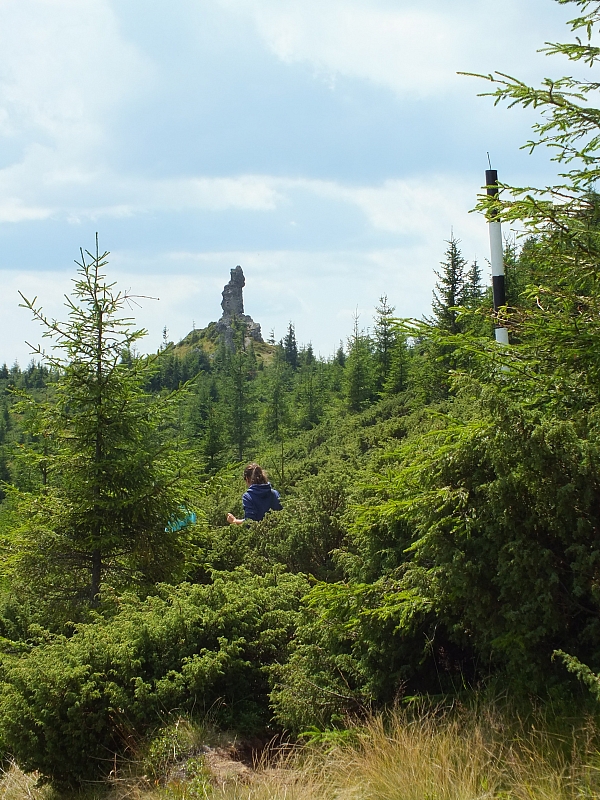 Munții Călimani
Rumänien 2012
&copy; by Thiel-IT (2012)