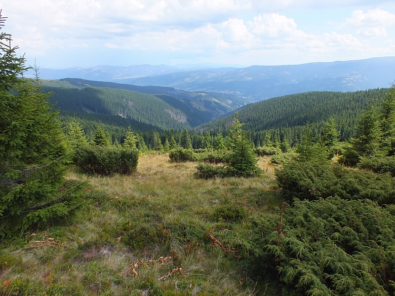 Munții Călimani
Rumänien 2012
&copy; by Thiel-IT (2012)