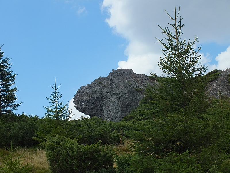 Munții Călimani
Rumänien 2012
&copy; by Thiel-IT (2012)