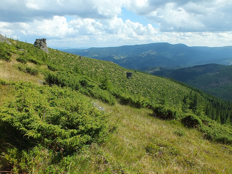 Munții Călimani
Rumänien 2012
&copy; by Thiel-IT (2012)