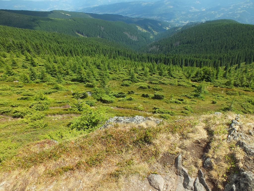 Munții Călimani
Rumänien 2012
&copy; by Thiel-IT (2012)