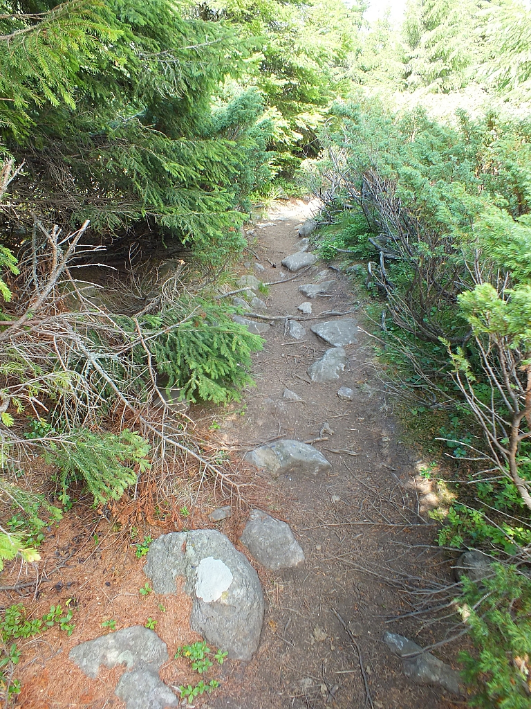 Munții Călimani
Rumänien 2012
&copy; by Thiel-IT (2012)