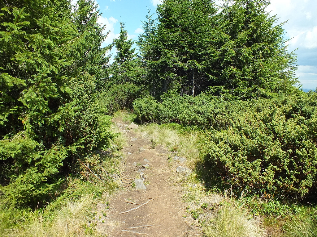 Munții Călimani
Rumänien 2012
&copy; by Thiel-IT (2012)