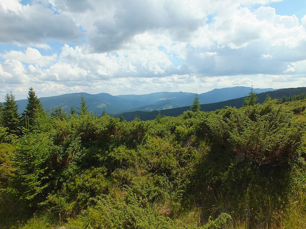 Munții Călimani
Rumänien 2012
&copy; by Thiel-IT (2012)