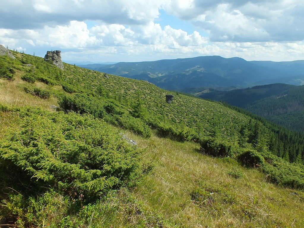 Munții Călimani
Rumänien 2012
&copy; by Thiel-IT (2012)