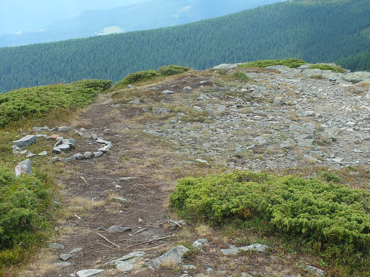 Munții Călimani
Rumänien 2012
&copy; by Thiel-IT (2012)