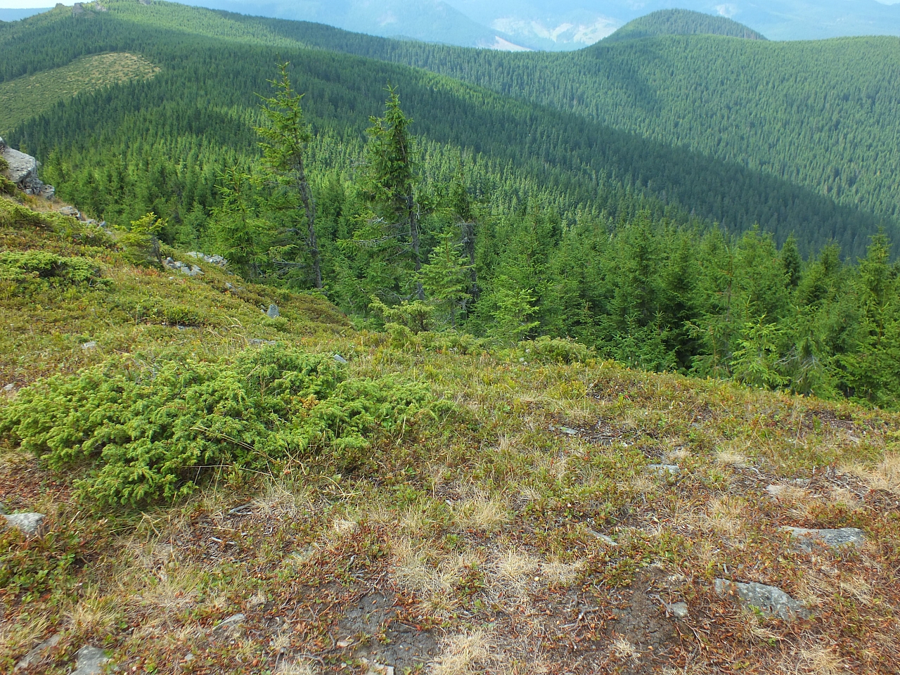 Munții Călimani
Rumänien 2012
&copy; by Thiel-IT (2012)