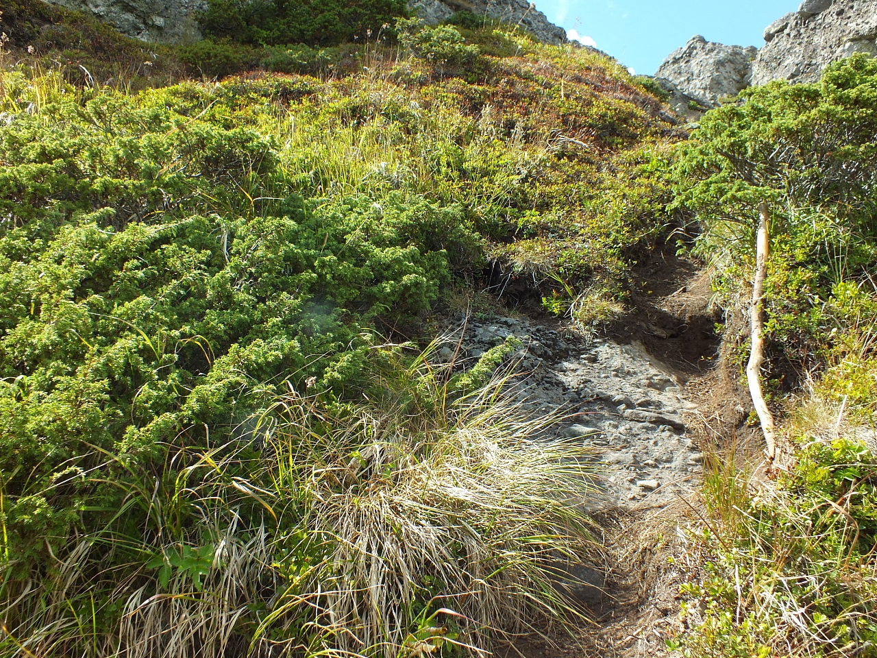 Munții Călimani
Rumänien 2012
&copy; by Thiel-IT (2012)