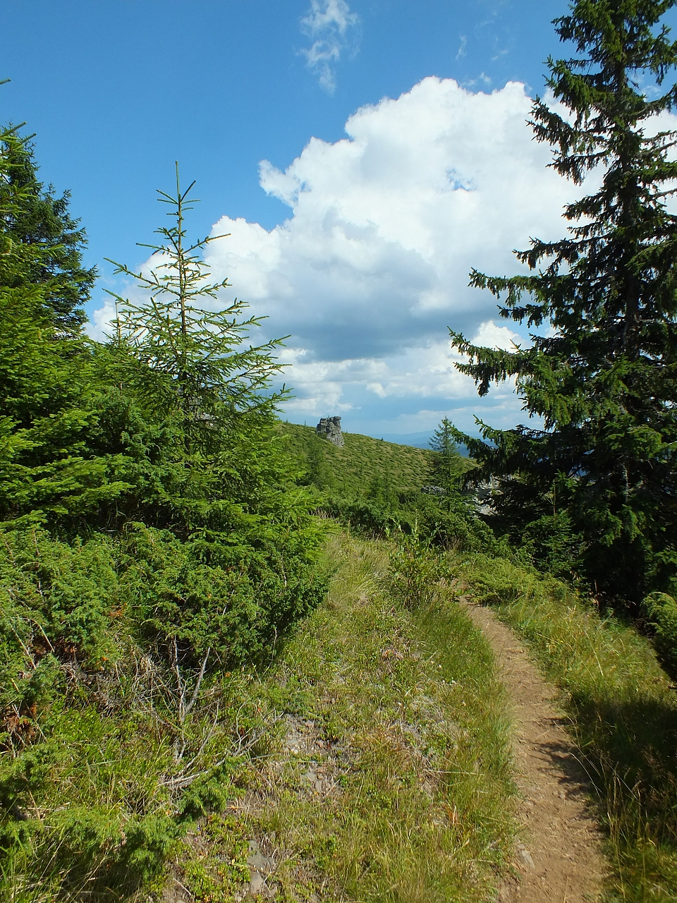 Munții Călimani
Rumänien 2012
&copy; by Thiel-IT (2012)