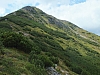 2012-08-11_14-55-30.jpg / 100x75 2012-08-11_14-55-30.jpg / 100x75