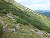 2012-08-11_14-55-42.jpg / 100x75 2012-08-11_14-55-42.jpg / 100x75