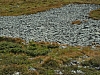 2012-08-11_16-57-56.jpg / 100x75 2012-08-11_16-57-56.jpg / 100x75
