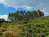 2012-08-11_17-25-36.jpg / 100x75 2012-08-11_17-25-36.jpg / 100x75