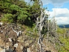 2012-08-11_17-29-14.jpg / 100x75 2012-08-11_17-29-14.jpg / 100x75